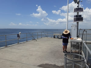 large area at the end of the fishing pier at picnic island